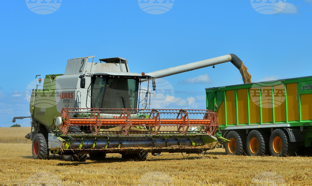 Село Малък Поровец - жътва