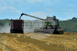 Село Малък Поровец - жътва