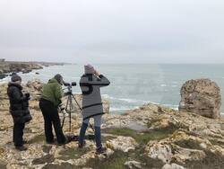 Снимка: Българско дружество за защита на птиците 