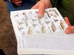 Снимка: Българско дружество за защита на птиците 