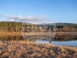 Снимка: Българско дружество за защита на птиците 
