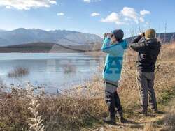 Снимка: Българско дружество за защита на птиците 