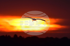 Исперих - астрономическо лято - изгрев 