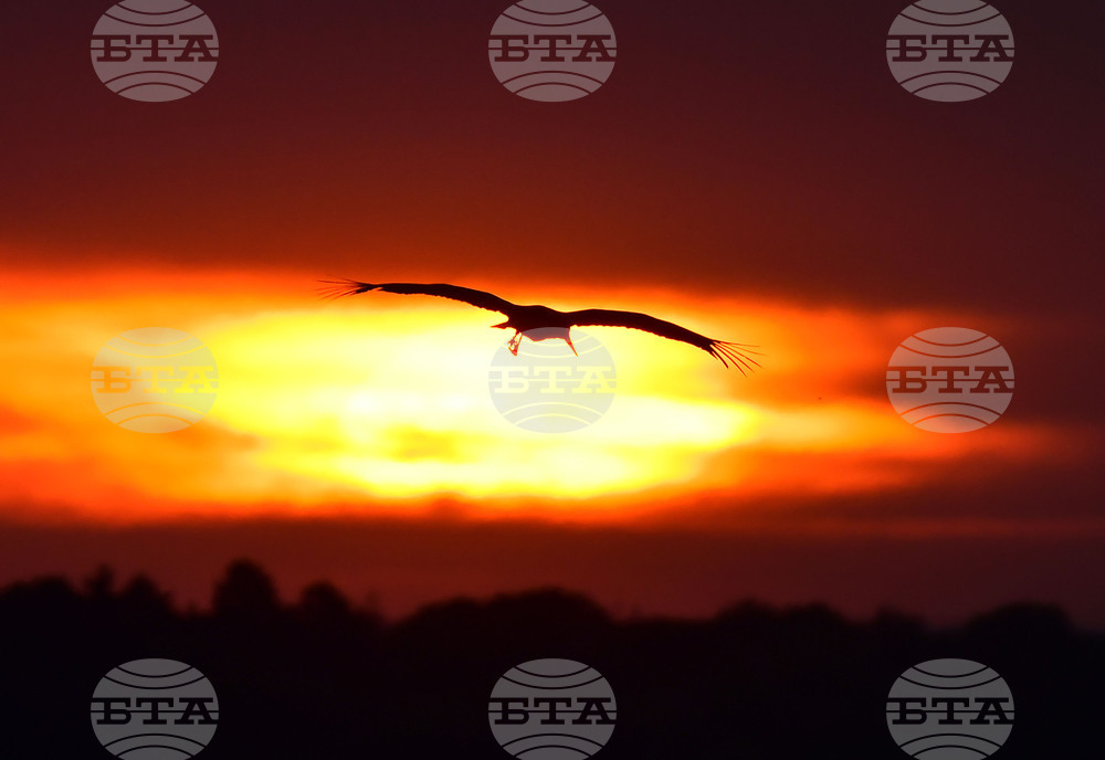 Астрономическото лято започна у нас в 5:42 часа 