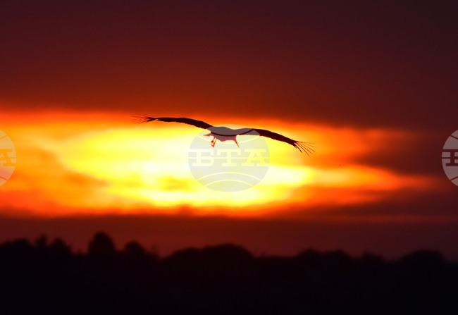 Астрономическото лято започна у нас в 5:42 часа 