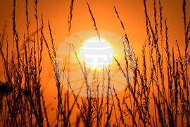 Исперих - астрономическо лято - изгрев 