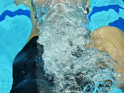 Hungary Swimming Worlds
