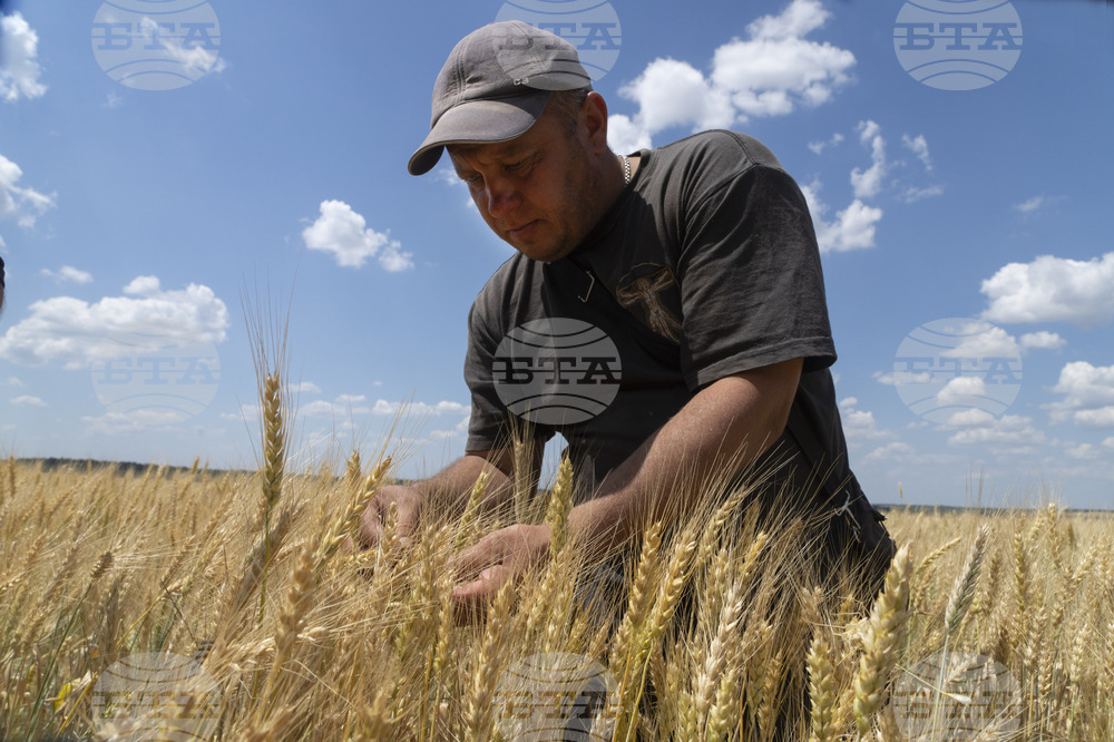 Земеделието трябва да бъде по-продуктивно, за да се изкорени гладът и да се намали замърсяването, според ФАО и ОИСР