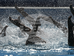 Hungary Swimming Worlds