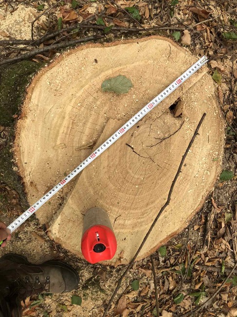 Над 320 000 проверки са извършили служителите на ИАГ и РДГ през 2023 г.