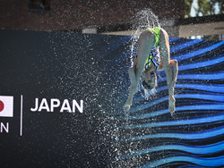 Hungary Swimming Worlds