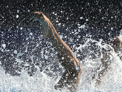 Hungary Swimming Worlds