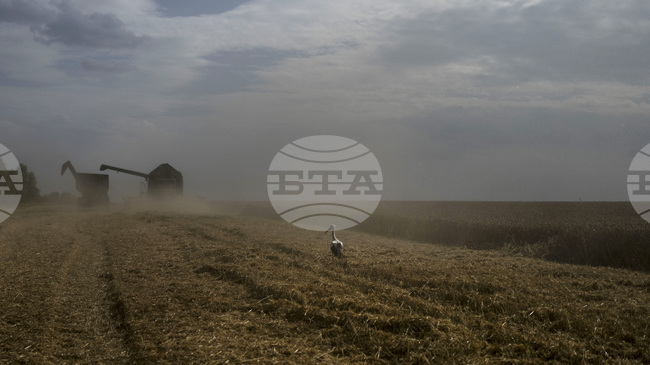 ЕК определи като неоправдани забраните за внос на хранителни продукти от Украйна 