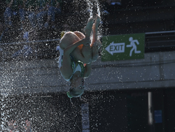Hungary Swimming Worlds