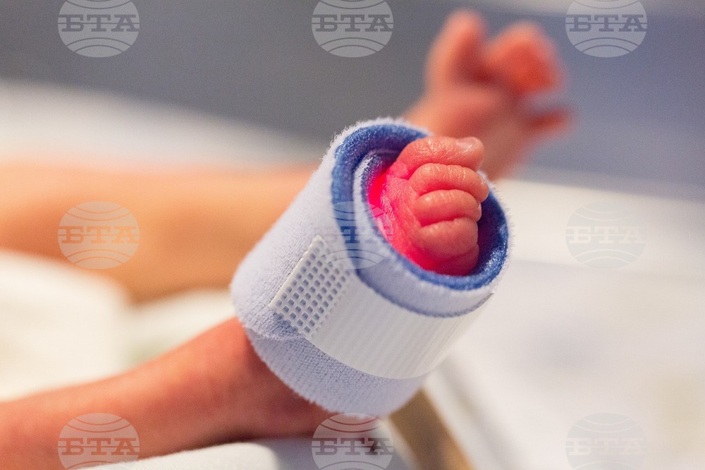 Клинични изпитвания на изкуствена матка за преждевременно родени деца може да започнат тази година