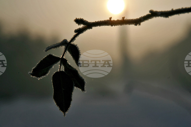 Зимно утро в Борисовата градина