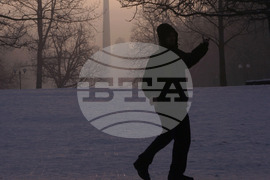 Зимно утро в Борисовата градина