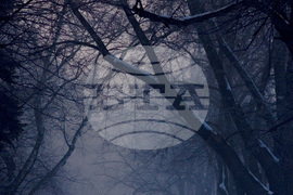 Зимно утро в Борисовата градина