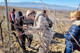 Мелник - изби - отворени врати