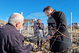 Мелник - Кирил Вълчев