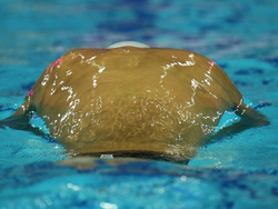 Hungary Swimming Worlds