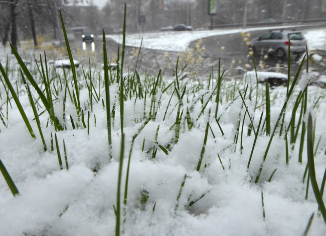 Пътищата в община Петрич са проходими, около 30 сантиметра е снежната покривка в село Скрът