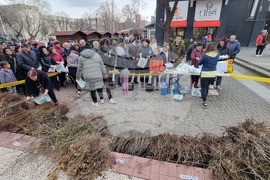 Хасково - Гората.бг. - фиданки - кампания