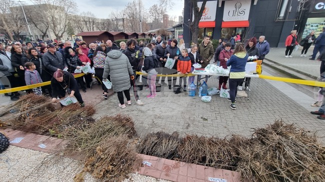 Хасково - Гората.бг. - фиданки - кампания