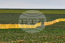 Село Ясеновец - снегозащита