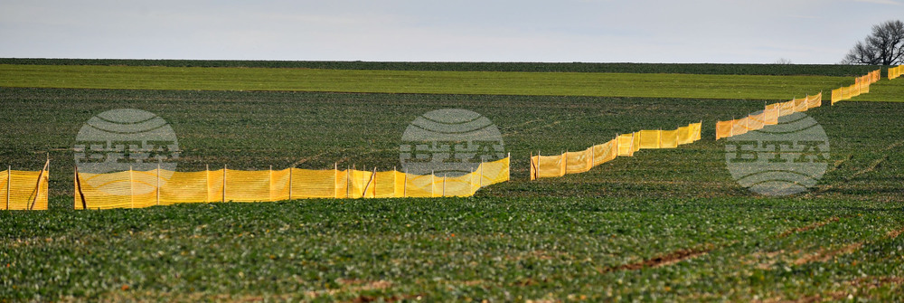 Село Ясеновец - снегозащита