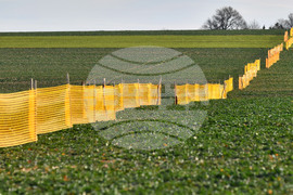 Село Ясеновец - снегозащита