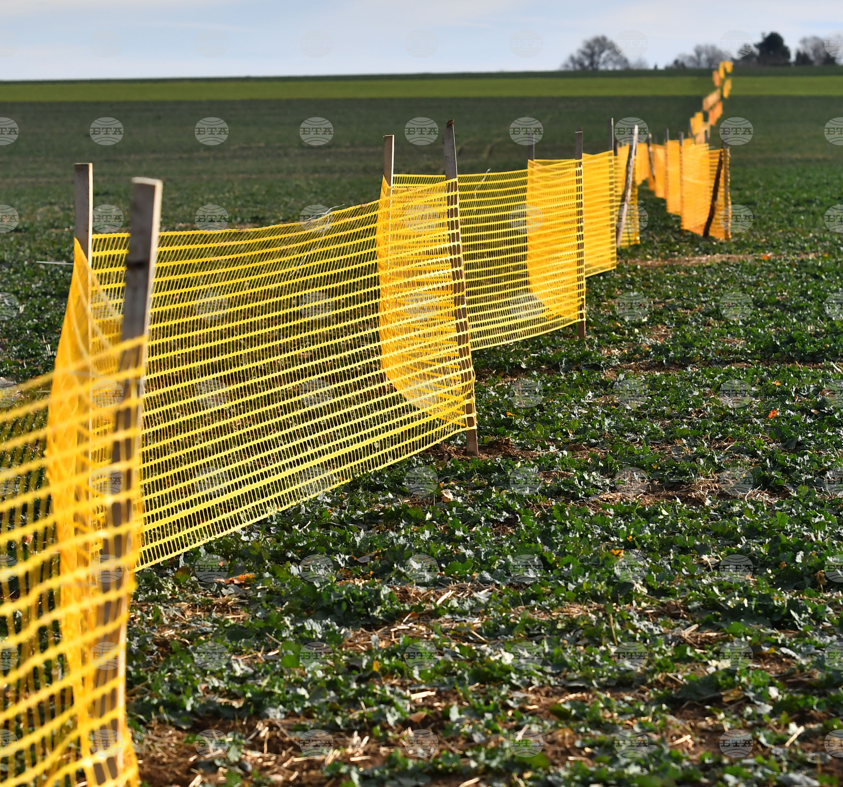 Село Ясеновец - снегозащита