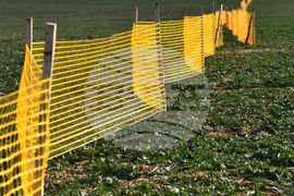 Село Ясеновец - снегозащита