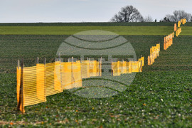 Село Ясеновец - снегозащита