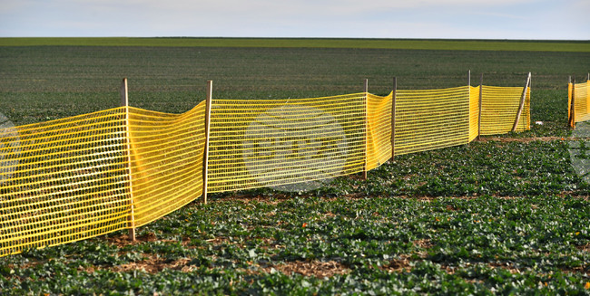 Село Ясеновец - снегозащита