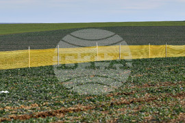 Село Ясеновец - снегозащита