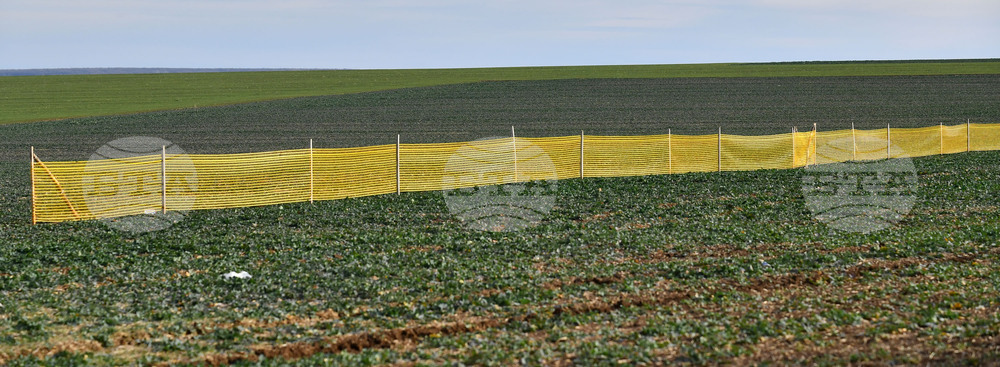 Село Ясеновец - снегозащита