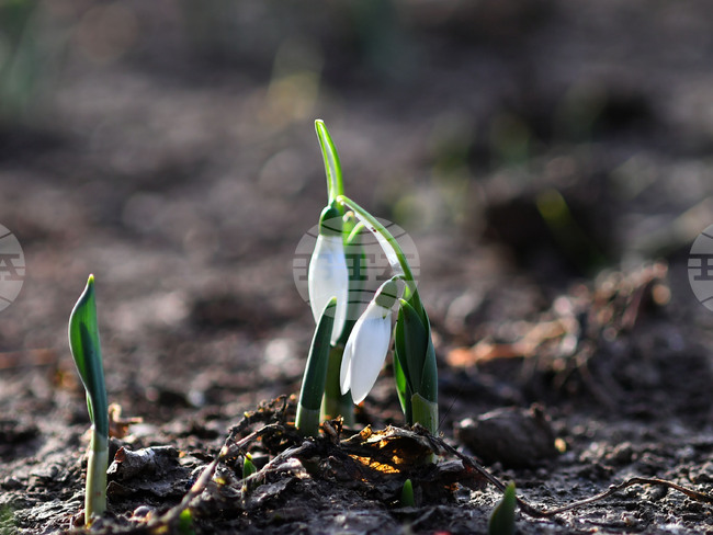 Прогноза за времето 
