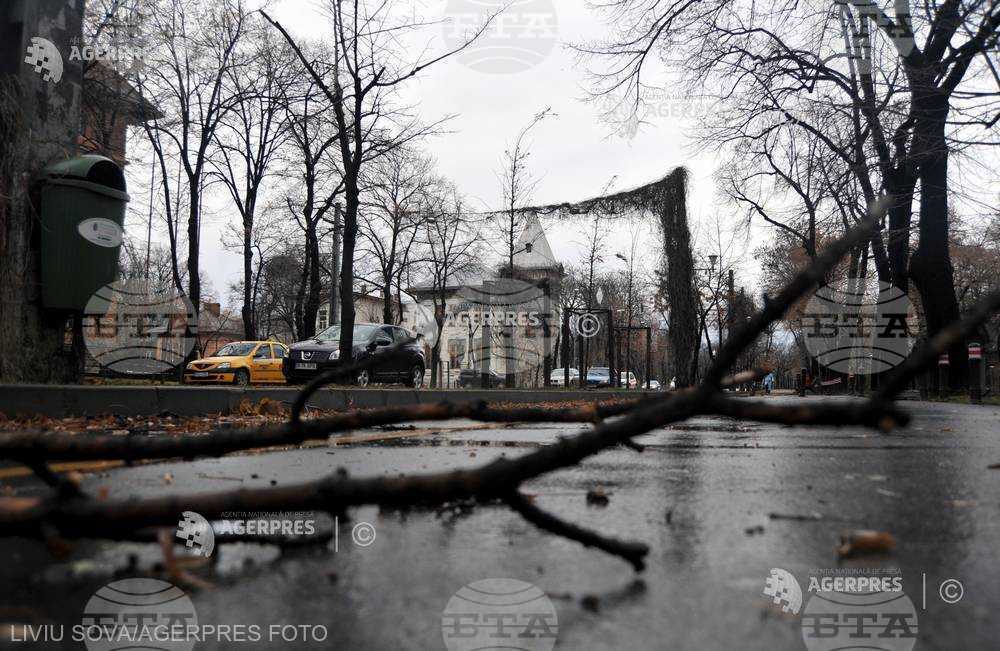 Дървета, съборени от силен вятър, нанесоха щети на автомобили и сгради в Букурещ