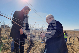 Мелник - Кирил Вълчев - Никола Закитанов