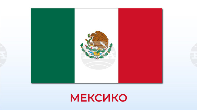 Най-малко 15 ранени при дерайлиране на влак в Мексико