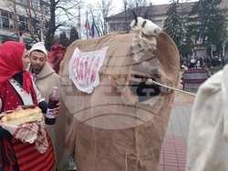 Тръстник - обичай "Кьорава кобила" - Ивановден