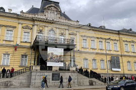 Национална художествена галерия - изложба - опашка