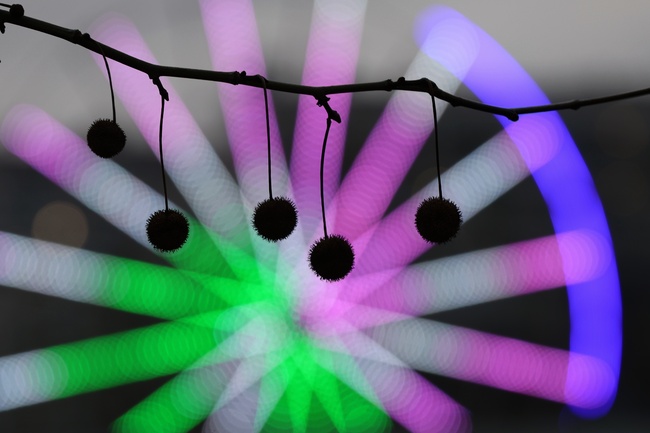 У нас все още няма акредитирани органи за контрол, които имат права за технически проверки на съоръженията в увеселителни обекти, съобщи за БТА изп. директор на ИА "Българска служба за акредитация"