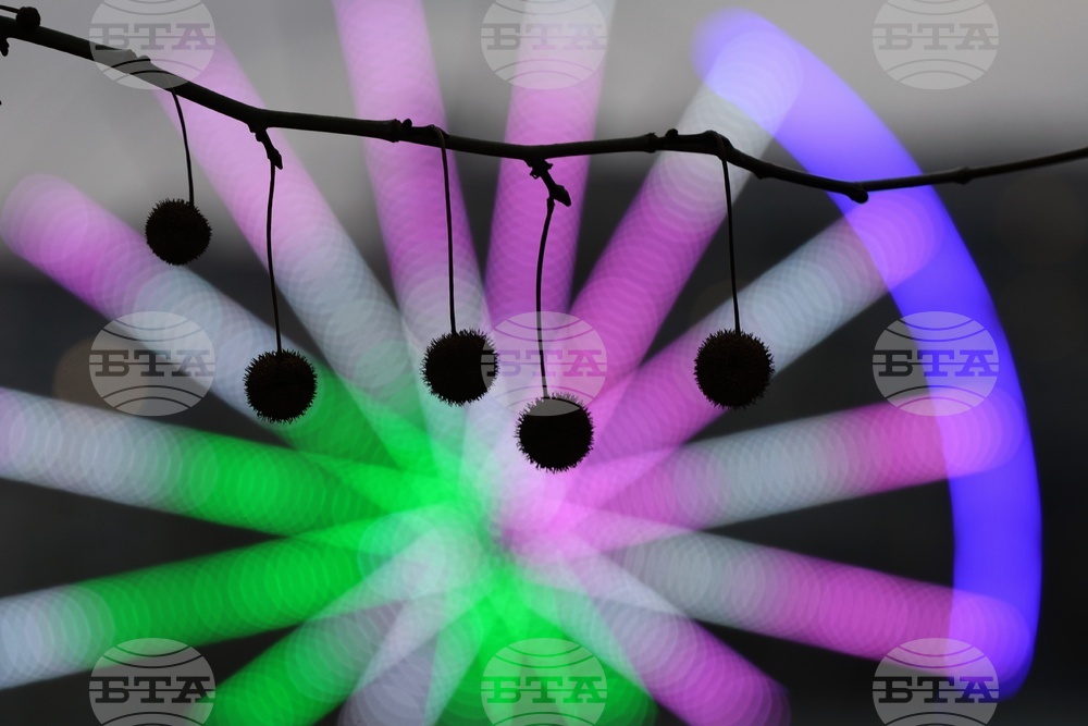 Увеселителен парк