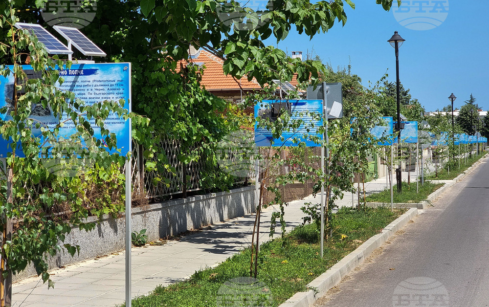 Варна - Шкорпиловци - улица