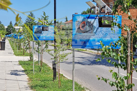 Варна - Шкорпиловци - улица