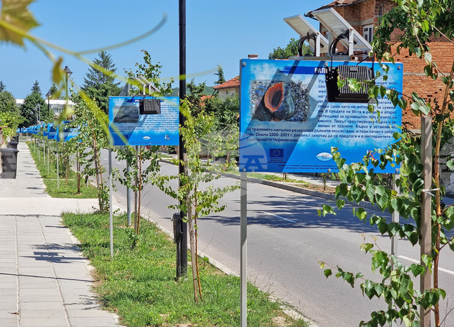 Варна - Шкорпиловци - улица