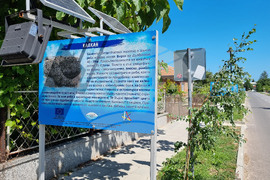 Варна - Шкорпиловци - улица