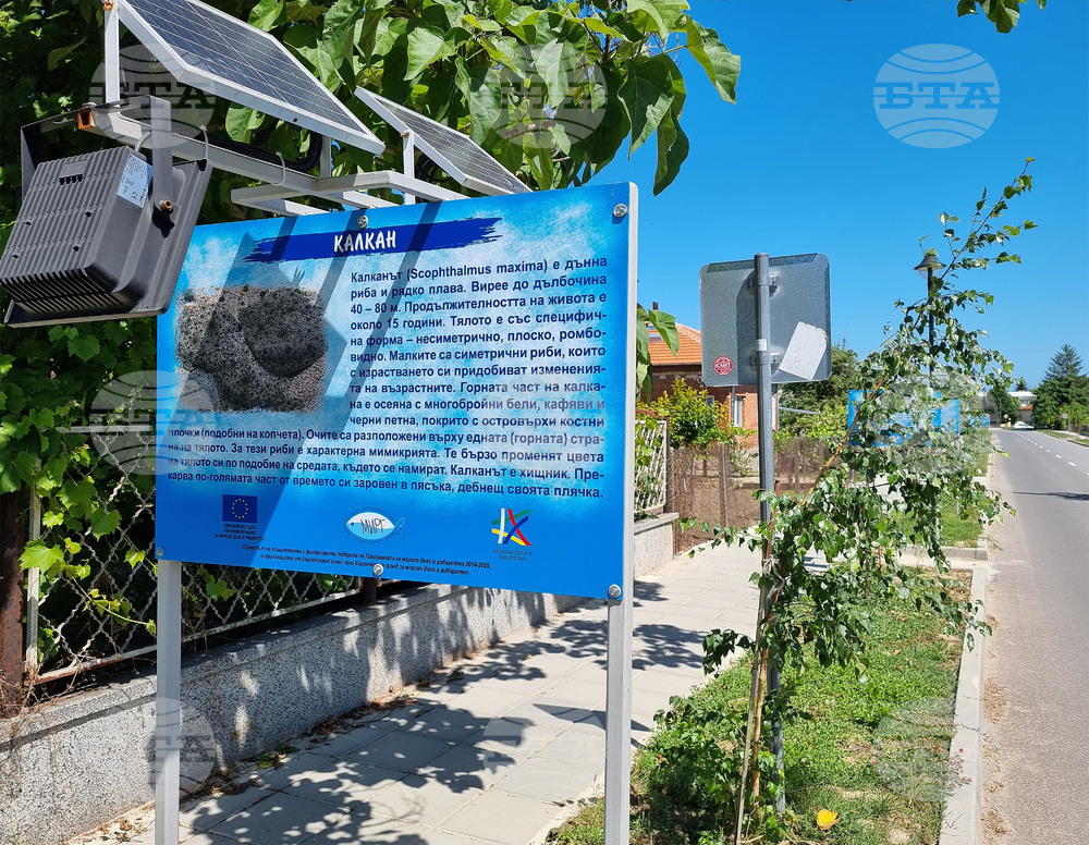 Варна - Шкорпиловци - улица